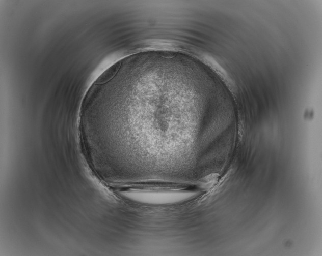 X0000096941378200802221310