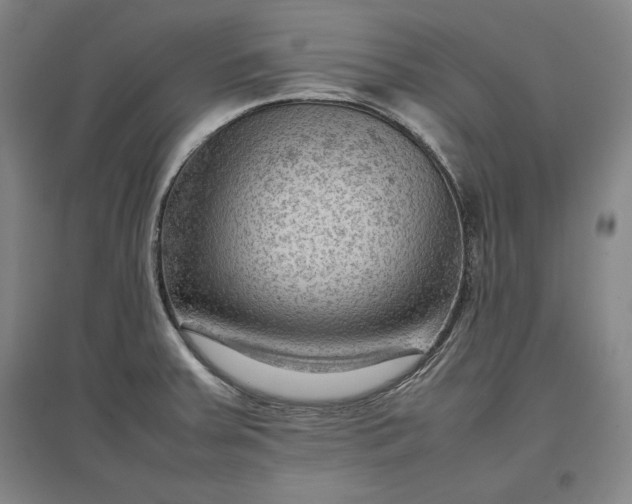 X0000096941379200802221310