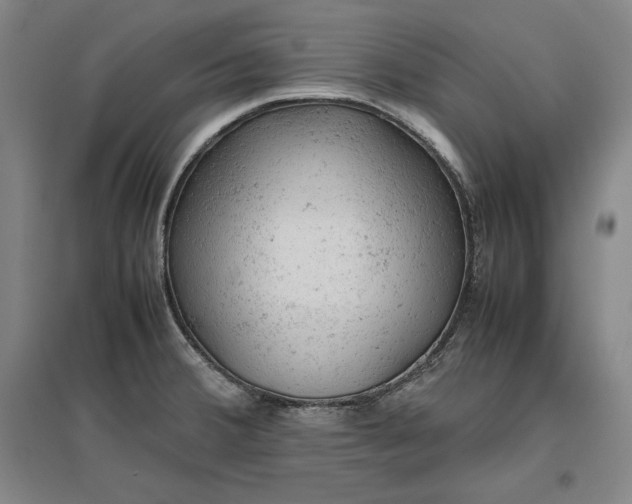 X0000096941380200802221310