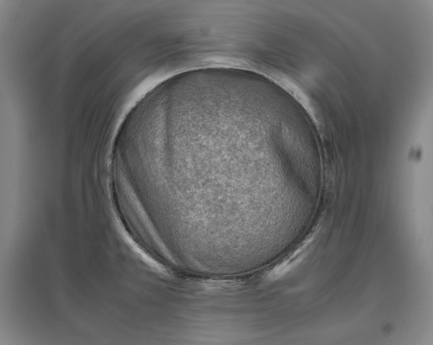 X0000096941381200802221310