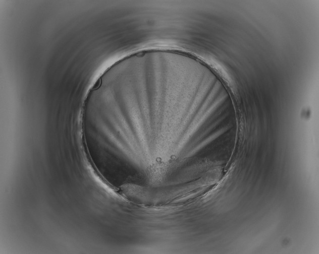 X0000096941382200802221310