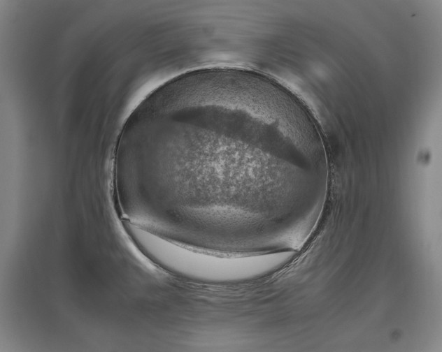 X0000096941383200802221310