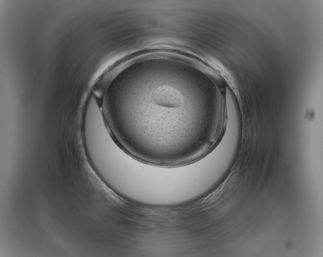 X0000096941384200802221310