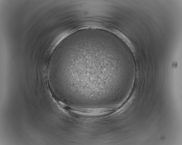 X0000096941385200802221310