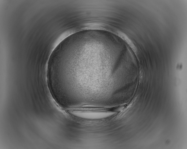 X0000096941386200802221310