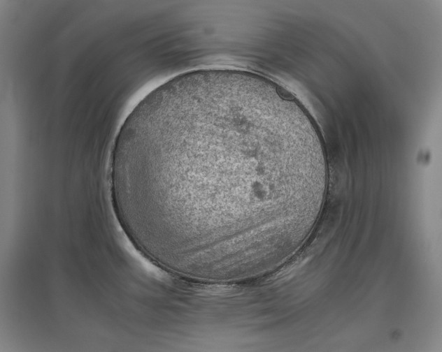 X0000096941387200802221310