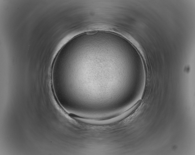 X0000096941389200802221310