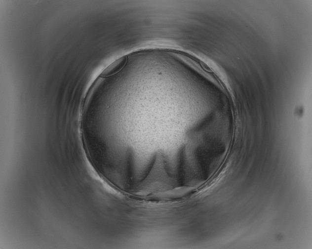 X0000096941390200802221310