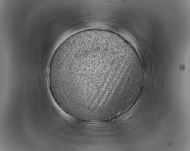 X0000096941391200802221310