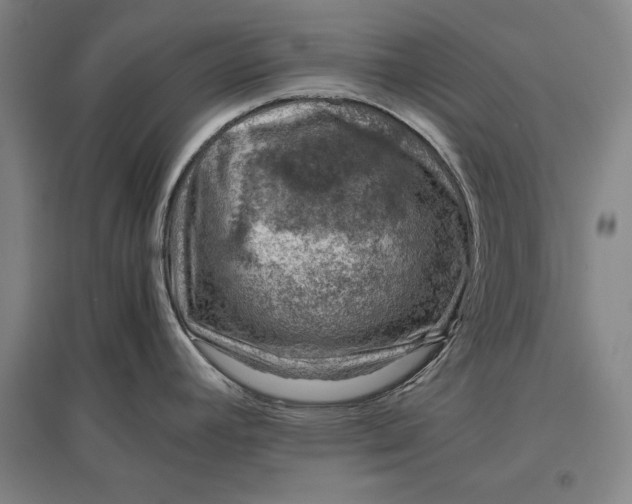 X0000096941392200802221310