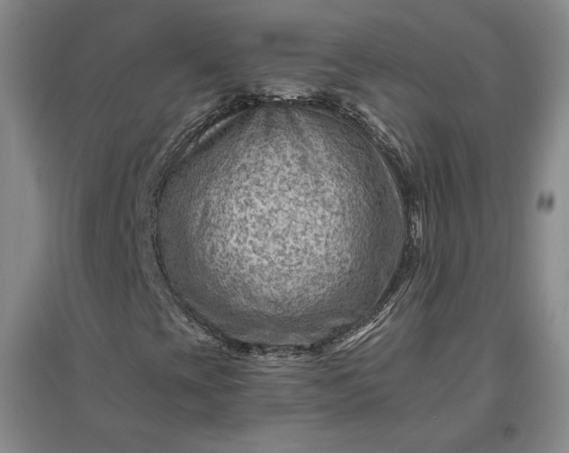 X0000096941393200802221309