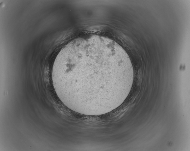 X0000096941394200802221309