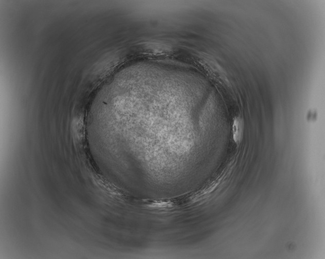 X0000096941395200802221309