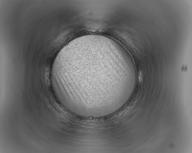 X0000096941396200802221309