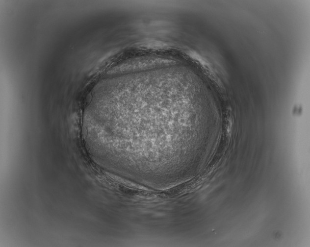 X0000096941397200802221309