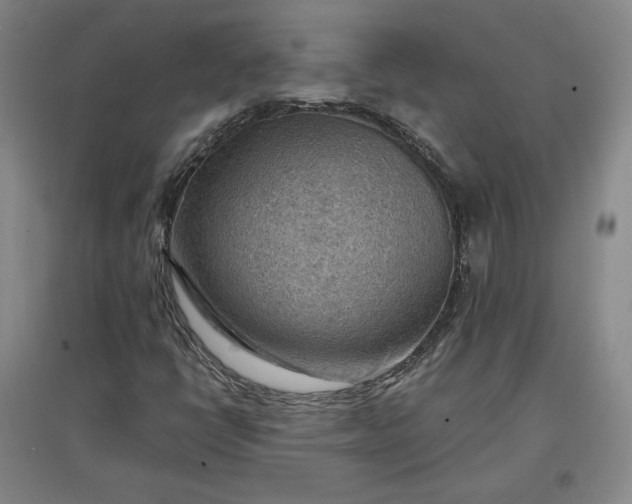 X0000096941398200802221309