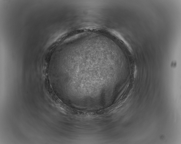 X0000096941399200802221309