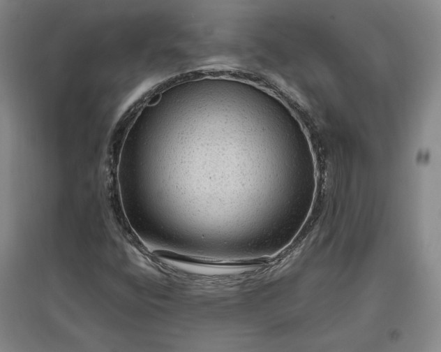 X0000096941400200802221309