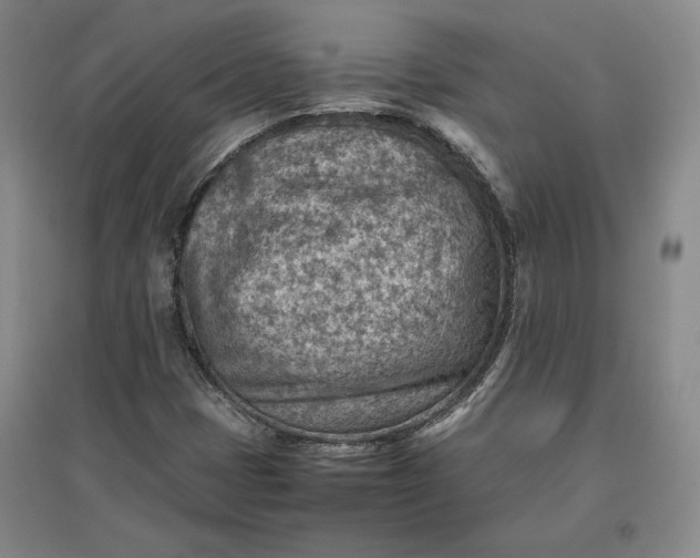 X0000096941401200802221309