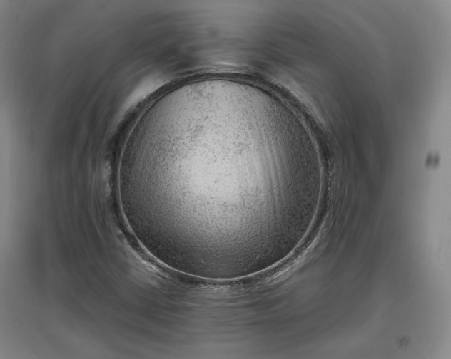 X0000096941402200802221310