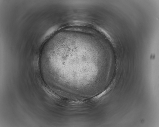 X0000096941403200802221310