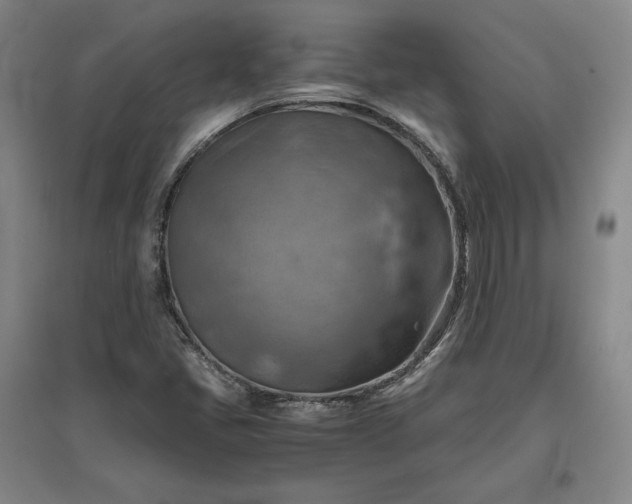 X0000096941405200802221310