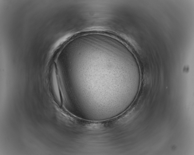 X0000096941406200802221310