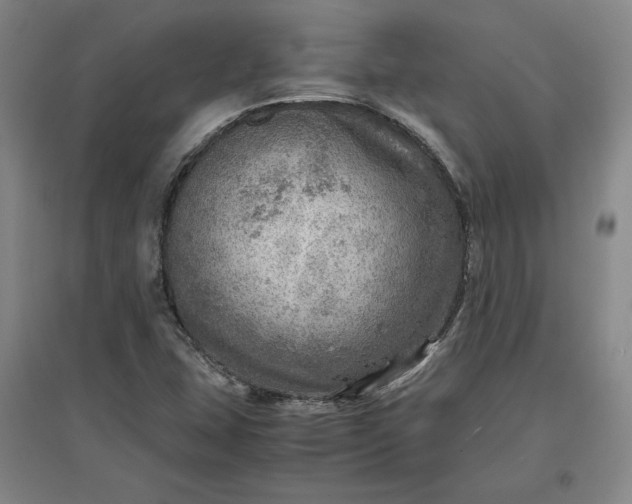 X0000096941407200802221310