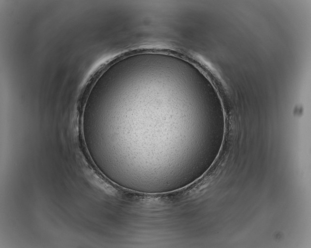 X0000096941408200802221310