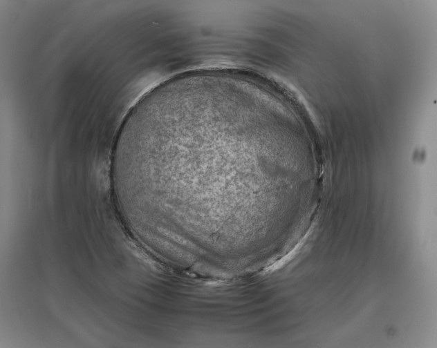 X0000096941409200802221310