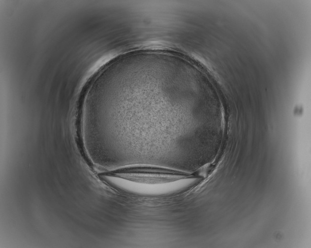 X0000096941410200802221310