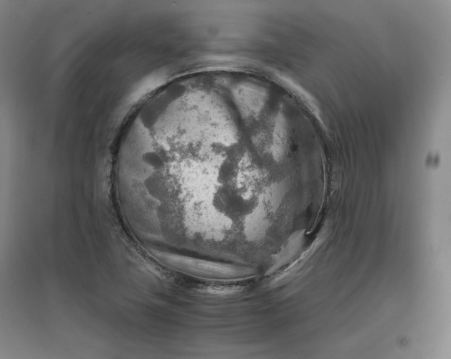 X0000096941411200802221310