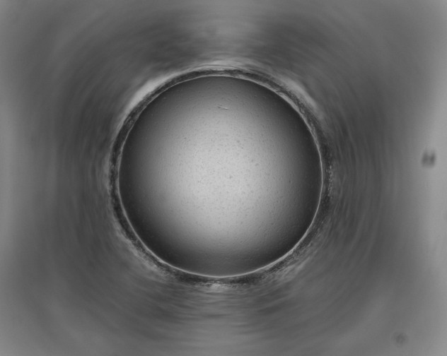 X0000096941412200802221310