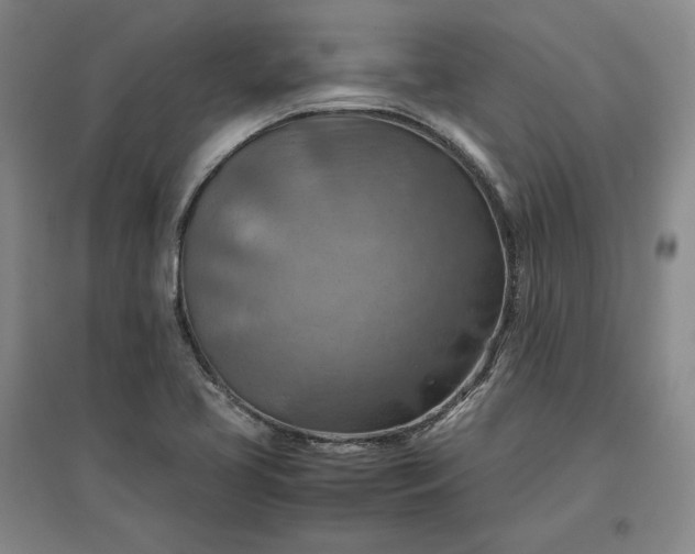 X0000096941413200802221310