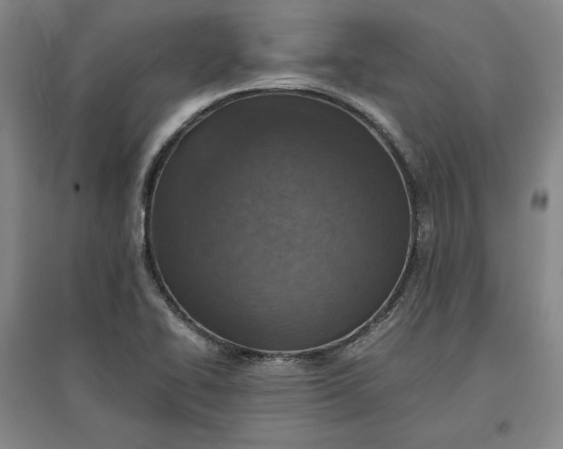 X0000096941414200802221310