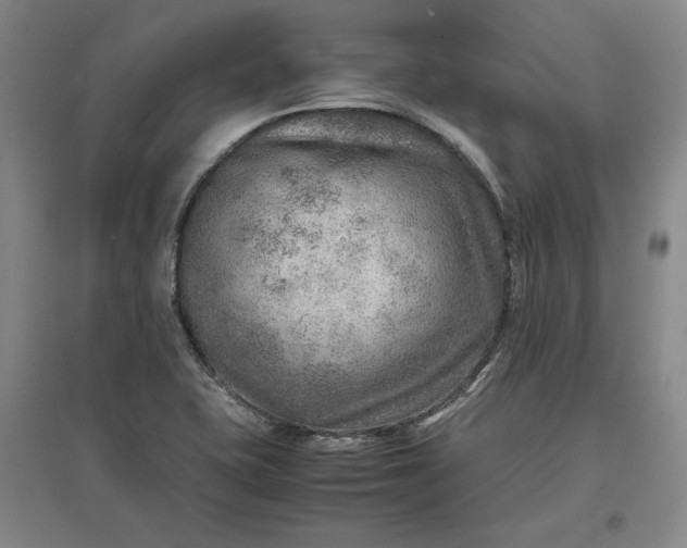 X0000096941415200802221310