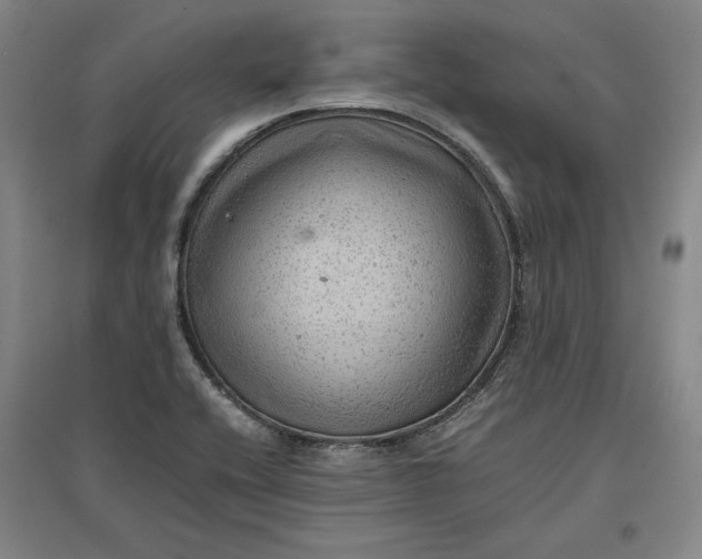 X0000096941416200802221310