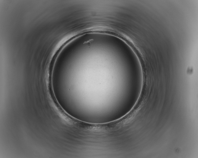 X0000096941418200802221310