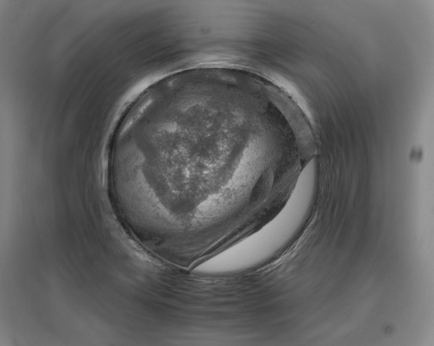 X0000096941419200802221310