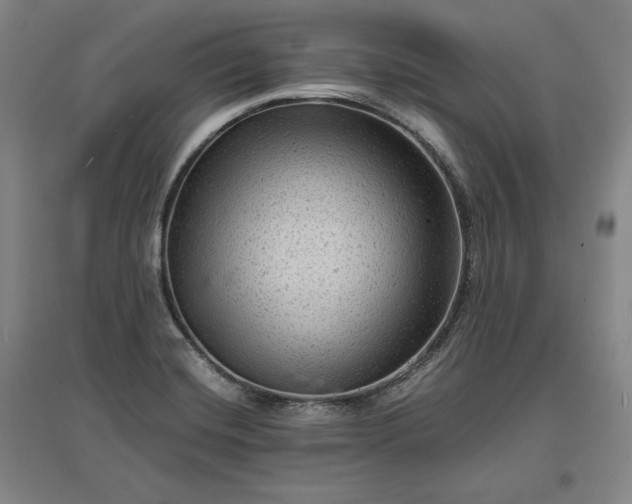 X0000096941420200802221310