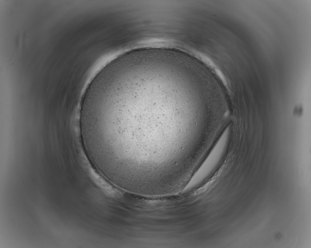 X0000096941421200802221310