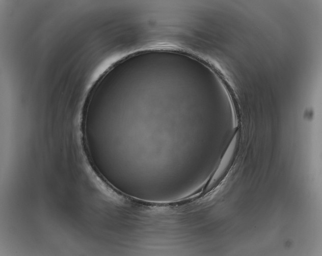 X0000096941422200802221310