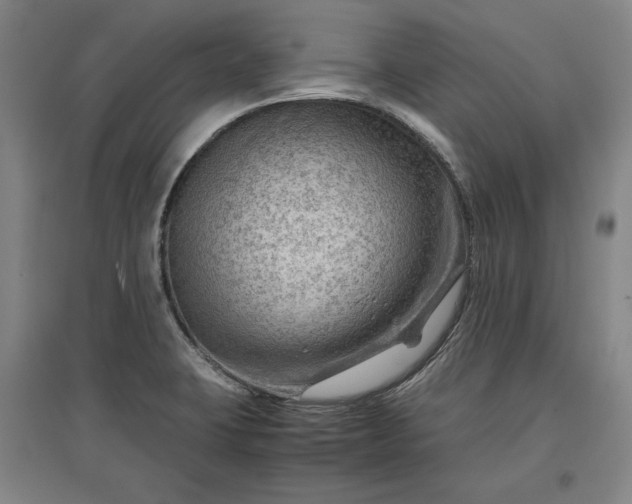 X0000096941423200802221310