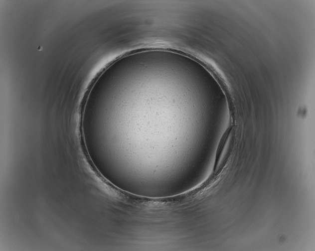 X0000096941424200802221310