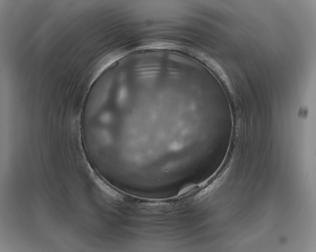 X0000096941425200802221310