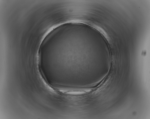 X0000096941428200802221310