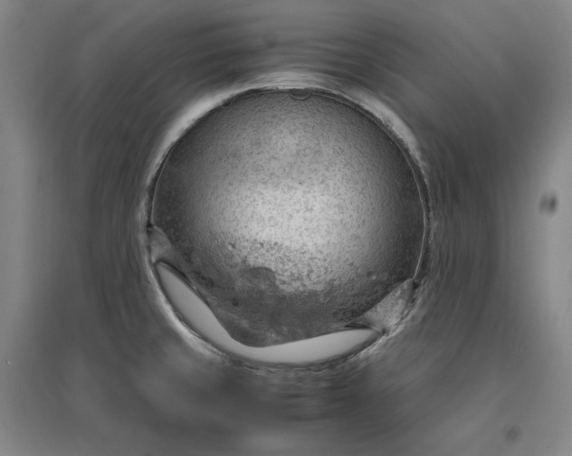 X0000096941429200802221310