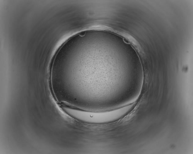 X0000096941430200802221310