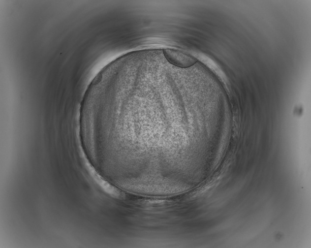 X0000096941431200802221310