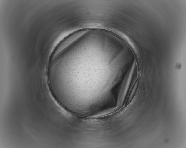 X0000096941432200802221310